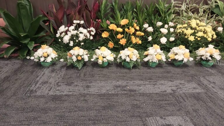 WhatsApp Image 2025-10-21 at 10.44.45